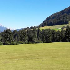 Sommerausblick