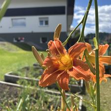 Frana Appartements in Fieberbrunn