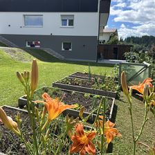 Frana Appartements in Fieberbrunn