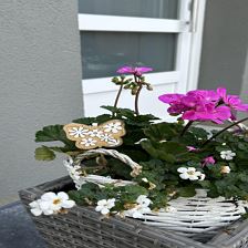 Frana Appartements in Fieberbrunn