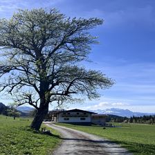 Hansenhof Fieberbrunn Blick zum Wilden Kaiser