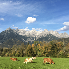 Bergpanorama Spätsommer