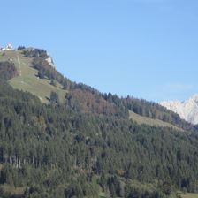 Buchensteinwand im Sommer