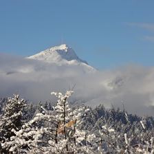 Aussicht vom südseitigen Balkon