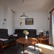 Wohnzimmer/ living-room
