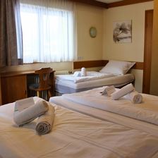 09. Catered chalet Sonnwend (Fieberbrunn) - Driepe