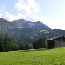 Sommer im Pillerseetal