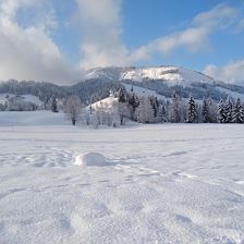 Hochfilzen im Winter