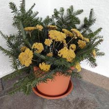 Eingangsbereich