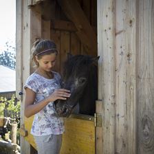 Flecklhof Pony