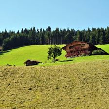 Flecklhof-Sommer-Header