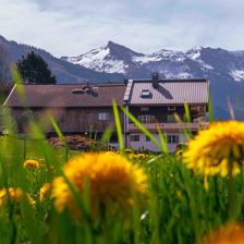 Kainrathenhof Sommer