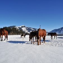 Weberhof Winter Header