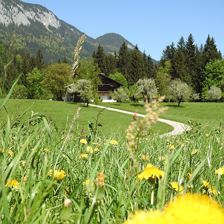 Wiese_Bauernhof Hintenberg_Itter