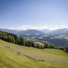 Ausblick
