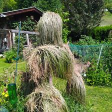 IMG_20240607_154442