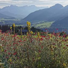 Blick von Geelinks Hütte bis zum Wilden Kaiser