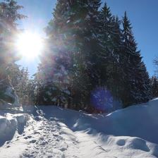 Schneeschuhwandern am Bruggberg
