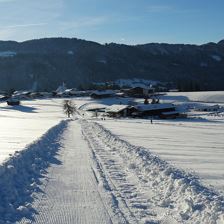 Direkt mit Ski zur Salvistabahn