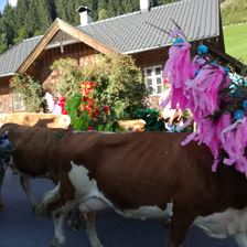 Almabtrieb