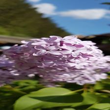 (C) Vordermitterast Apartments | Bauerngarten