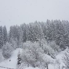 (C) Vordermitterast Apartments | Winterlandschaft