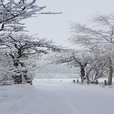 (C) Vordermitterast Apartments | Winterlandschaft