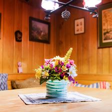Chalet Levi