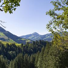 Herrenlehen_Brandseite_22_Kirchberg_Ausblick