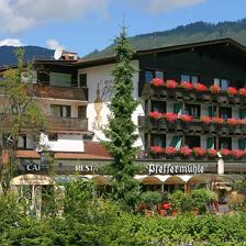 Hotel Alexander