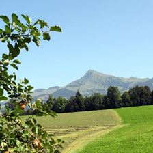 Hotel-Klausen-Hauser-Andreas-Klausen-8-Kirchberg-S