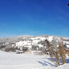 Winter Panorama 2