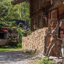 IMG_5048