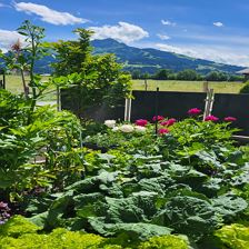 Aussicht von Terrasse Kitzbühler Horn