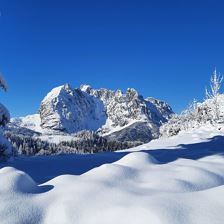 IMG-20240224-WA0022