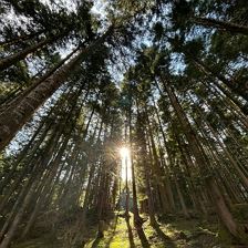 IMG-20240303-WA0008