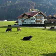 IMG-20251101-WA0005