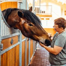 Oberhabach_Reiten_6901