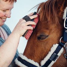 Oberhabach_Reiten_7040