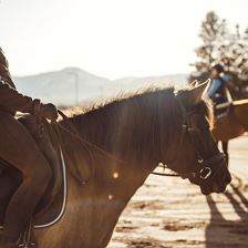 Oberhabach_Reiten_7413