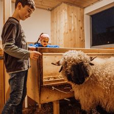 Oberhabach_Reiten_8305