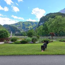Tischlerhof Wilder Kaiser Kirchdorf in Tirol