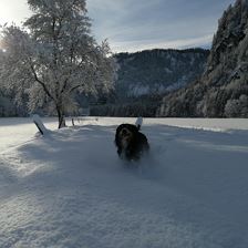 Tischlerhof Wilder Kaiser