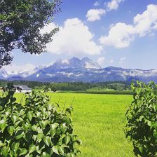 Wilder Kaiser
