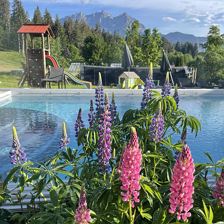 Hotel mit Pool und großer Garten - Wanderurlaub