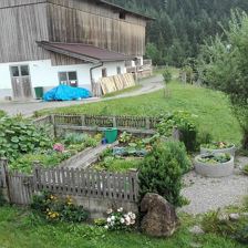 Gemüsegarten