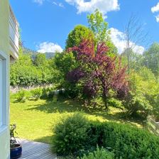 Blick Comfort Terrasse