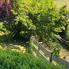 Idyllischer Moosbach