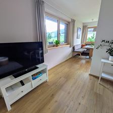 PXL_20250711_145442608~2