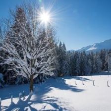 thumb01-042-16-franzgerdl-reg-st.-johann-1590-